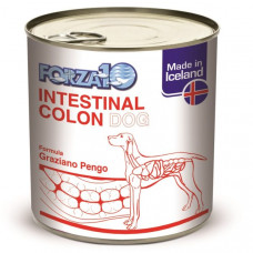 Forza 10 intestinal colon dog umido 390gr